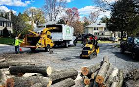 Best Emergency Tree Removal  in Union City, OH