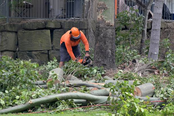 Best Arborist Consultation Services  in Union City, OH